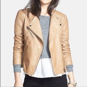 Treasure & Bond tan leather distressed Moto jacket